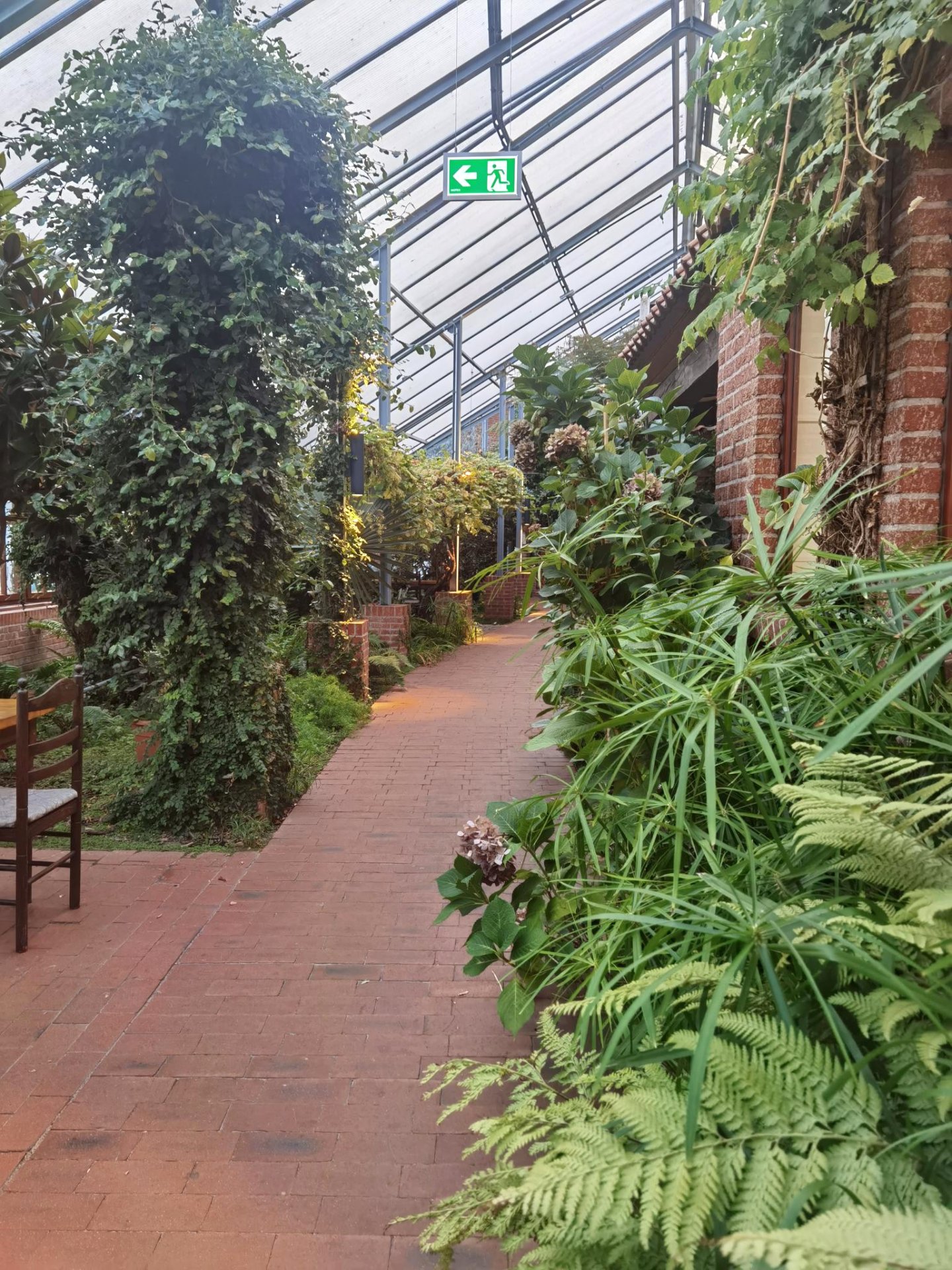 Papenburg1